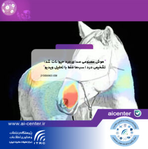 هوش مصنوعی صدای درد حیوانات شد؛ تشخیص درد اسب‌ها فقط با تحلیل ویدیو