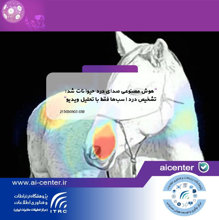 هوش مصنوعی صدای درد حیوانات شد؛ تشخیص درد اسب‌ها فقط با تحلیل ویدیو